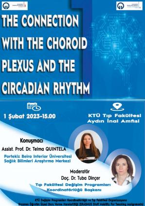 The Connection With The Choroid Plexus And The Circadian Rhythm