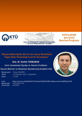 Biyomedikal Optik: Bir İn-Vivo Sıçan Modelinde Vagus Sinir Demetinin Lazerle Uyarılması