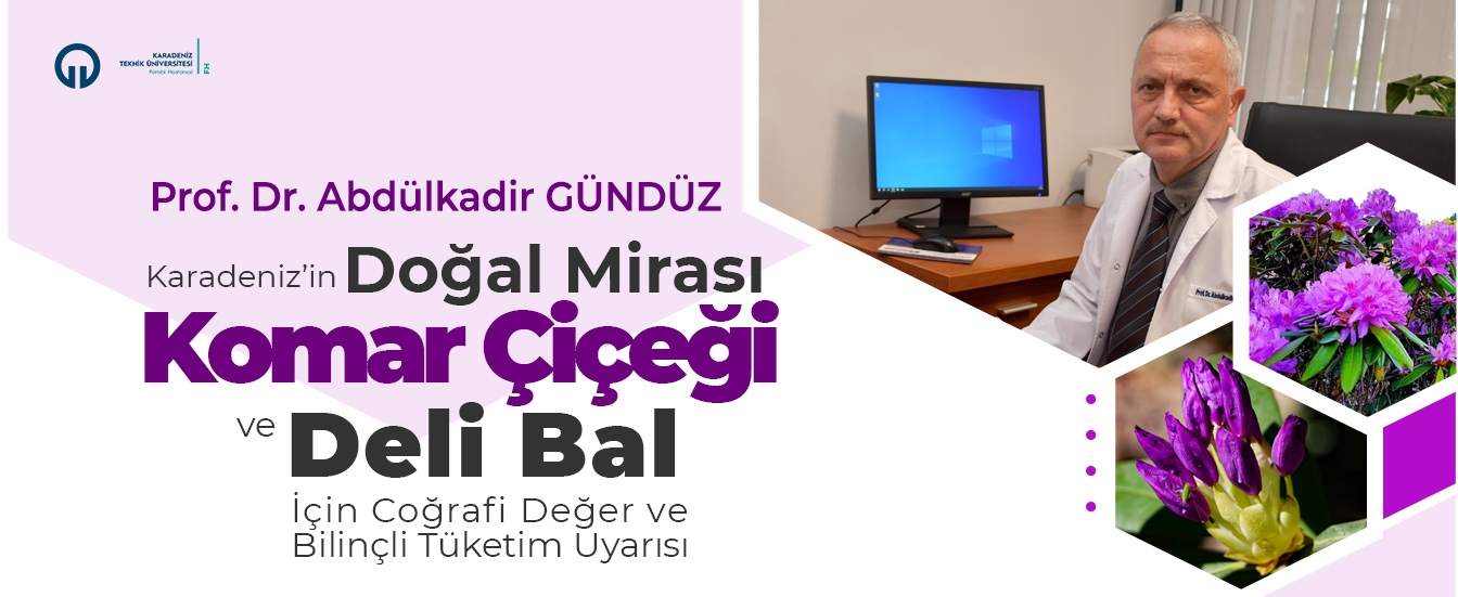 Karadeniz'in Doğal Mirası "Komar Çiçeği" ve "Deli Bal" İçin Coğrafi Değer ve Bilinçli Tüketim Uyarıs