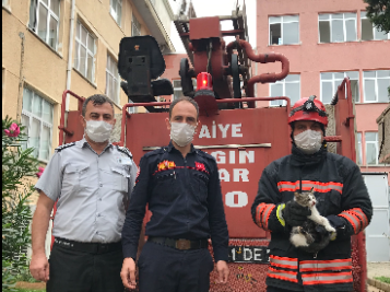 Ağaçta Mahsur Kalan Yavru Kedi Kurtarıldı