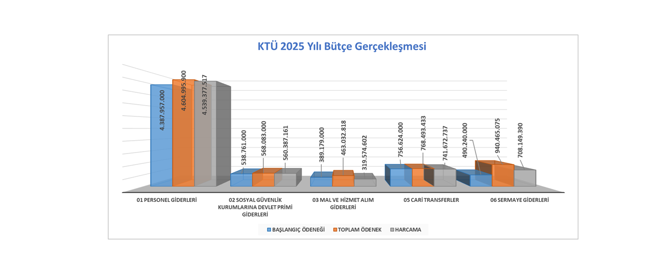 2025 Yılı Bütçe Gerçekleşmesi